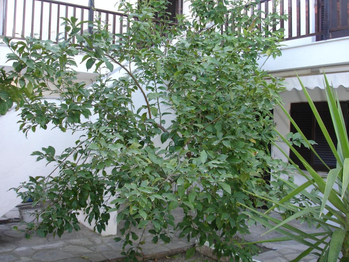 Dionysus-Mihanicus Ierissos Exterior photo